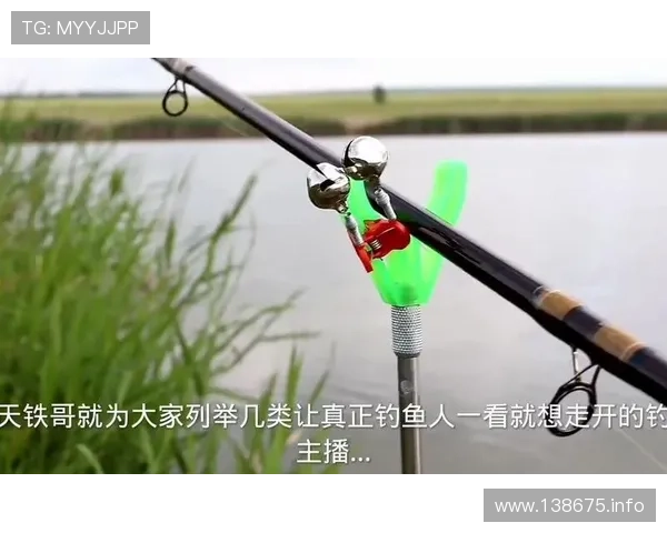 钓鱼直播：户外垂钓技巧与实战全解析